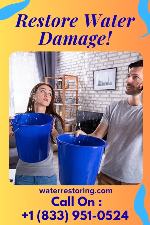 water restoration Pro Restoration Force Galesville